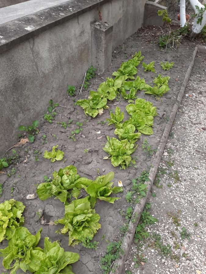 La Petite Escale Βίλα Vierzon Εξωτερικό φωτογραφία