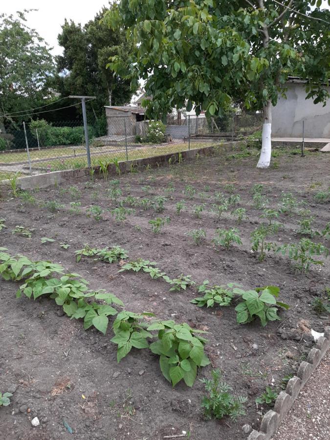 La Petite Escale Βίλα Vierzon Εξωτερικό φωτογραφία